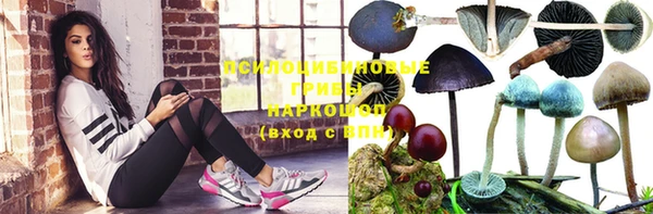 гидропоника Красноперекопск